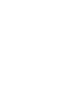 GV Conseil
